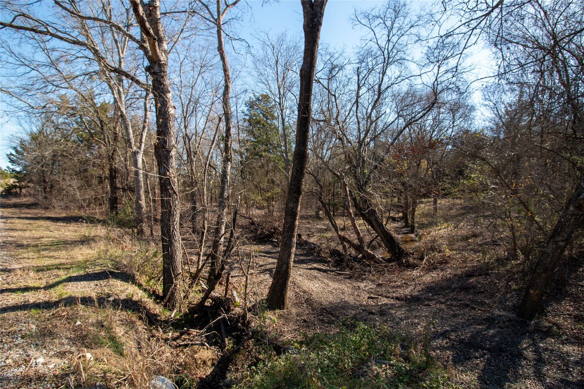 1.88 acres in Fannin County - photo 2