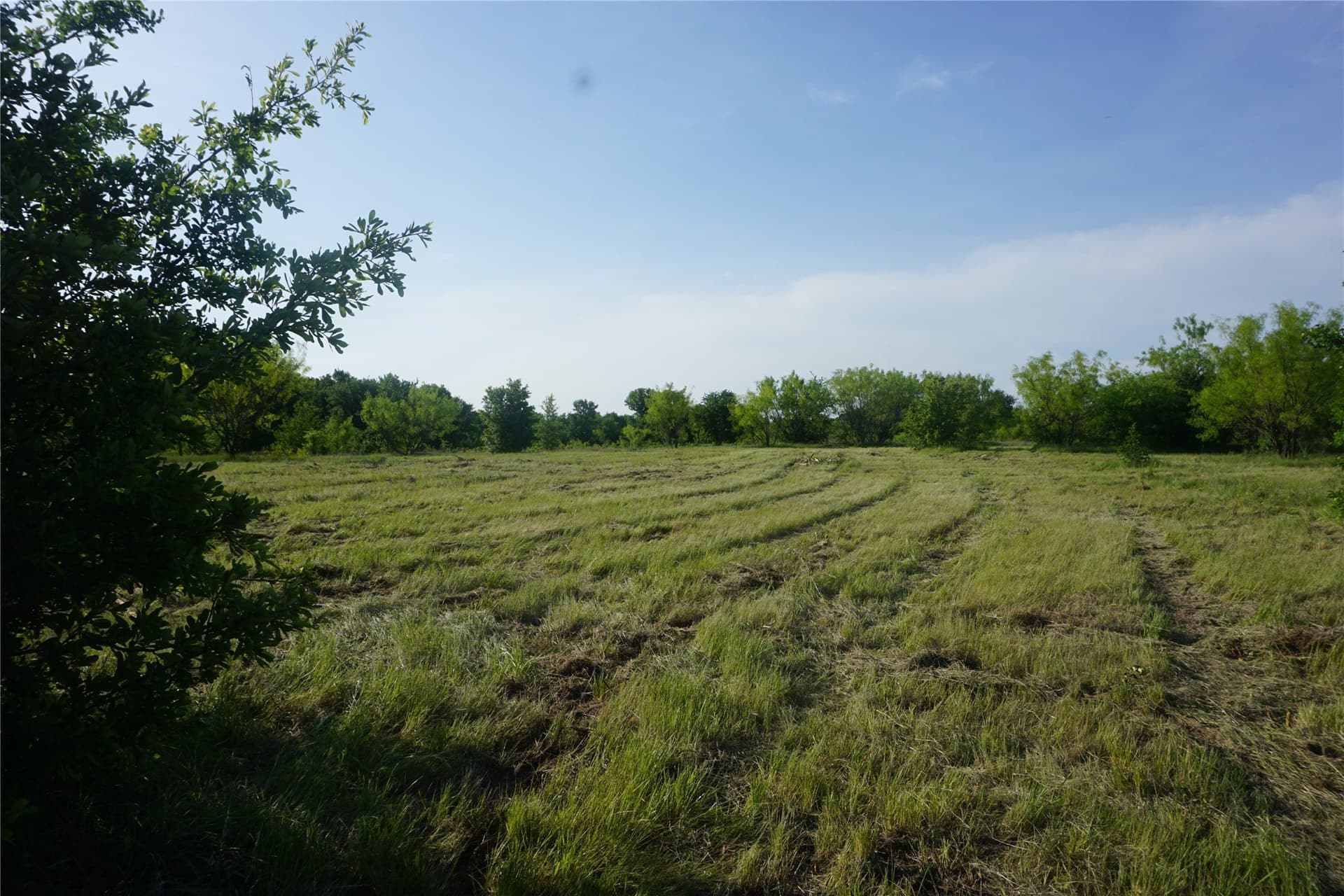 5.01 acres in Palo Pinto County - photo 4