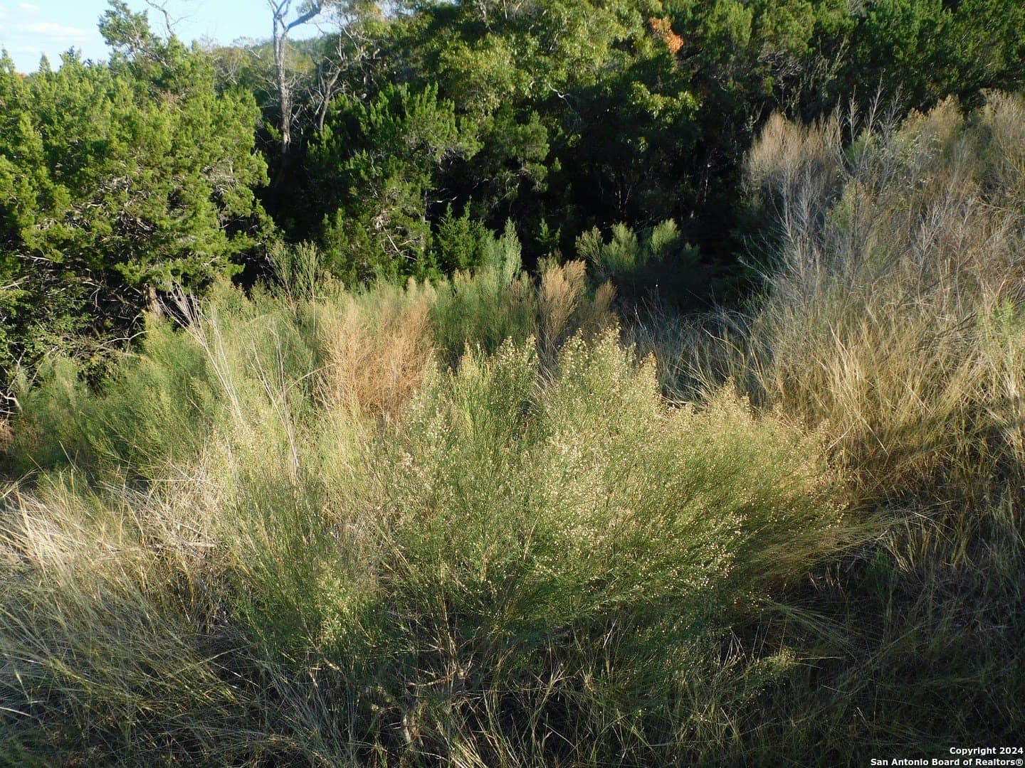 1.71 acres in Bexar County - photo 18