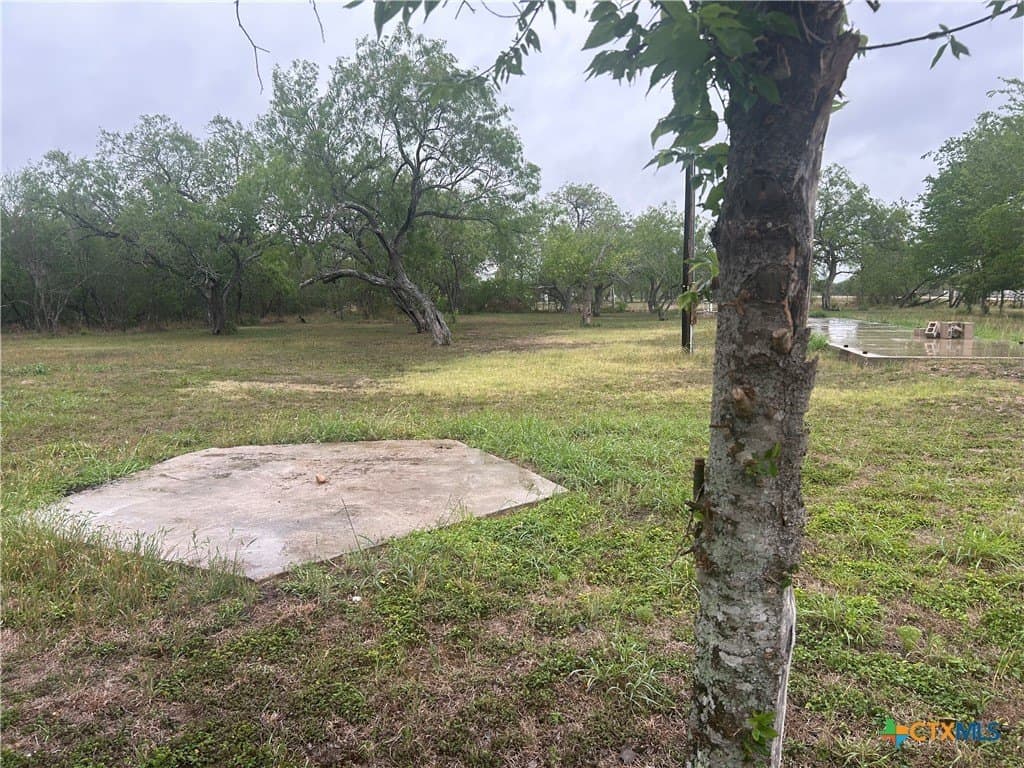 5 acres in Victoria County - photo 17