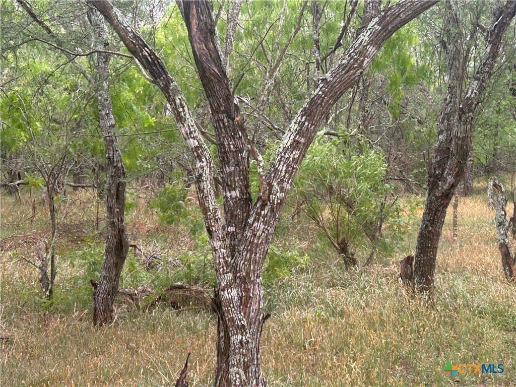 5 acres in Victoria County - photo 13