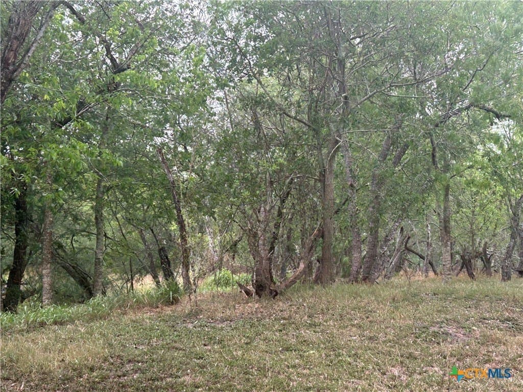 5 acres in Victoria County - photo 12