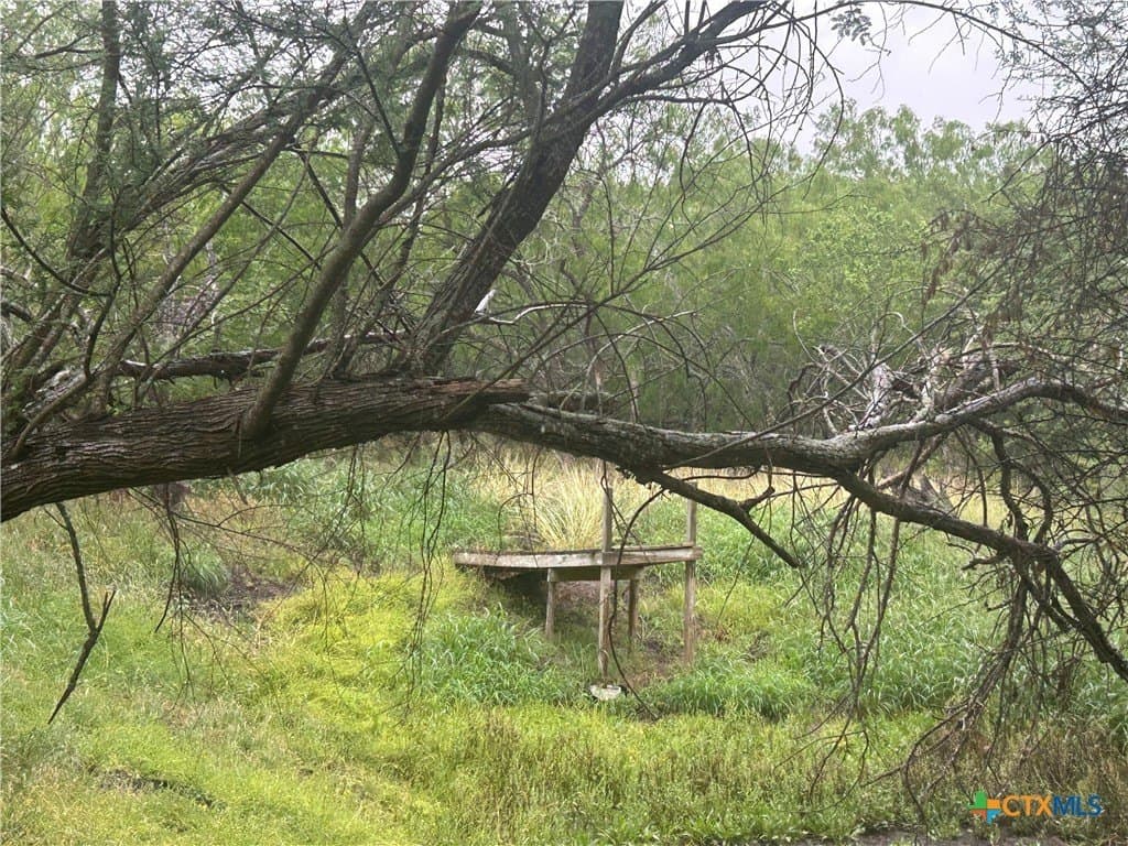 5 acres in Victoria County - photo 14