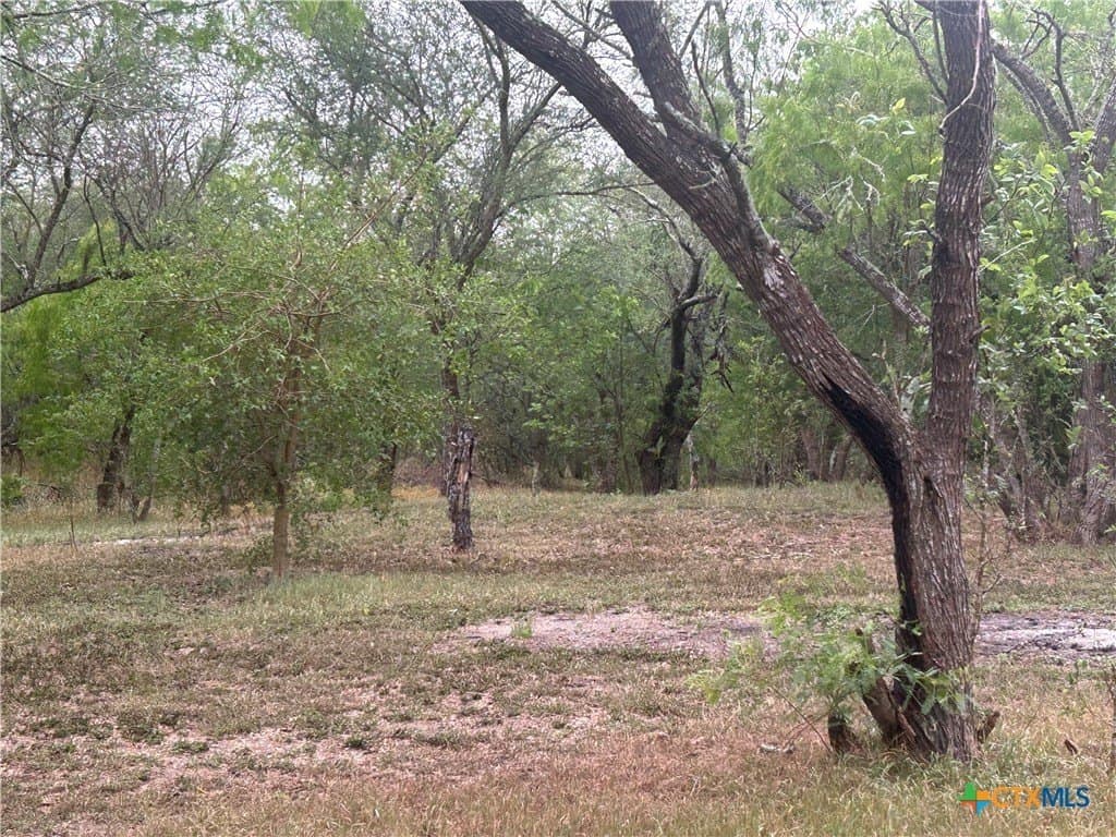 5 acres in Victoria County - photo 8