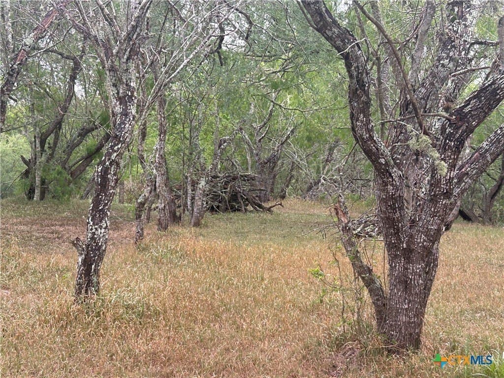 5 acres in Victoria County - photo 10