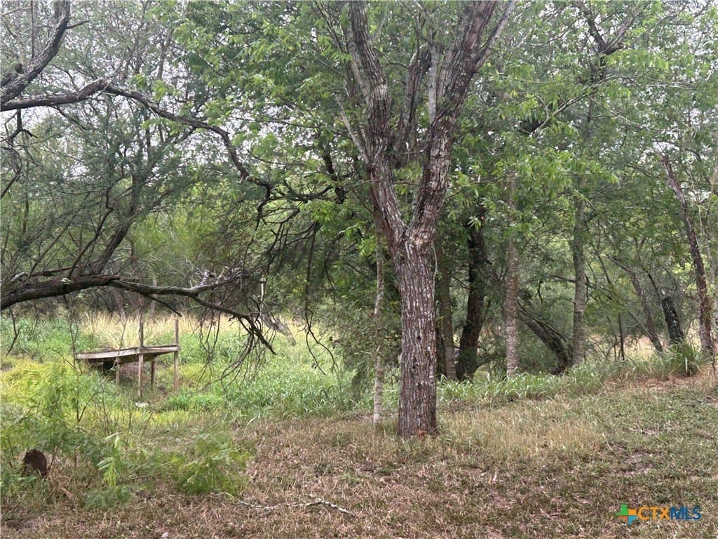 5 acres in Victoria County - photo 11