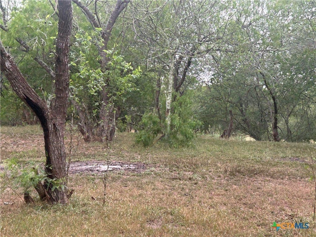 5 acres in Victoria County - photo 9