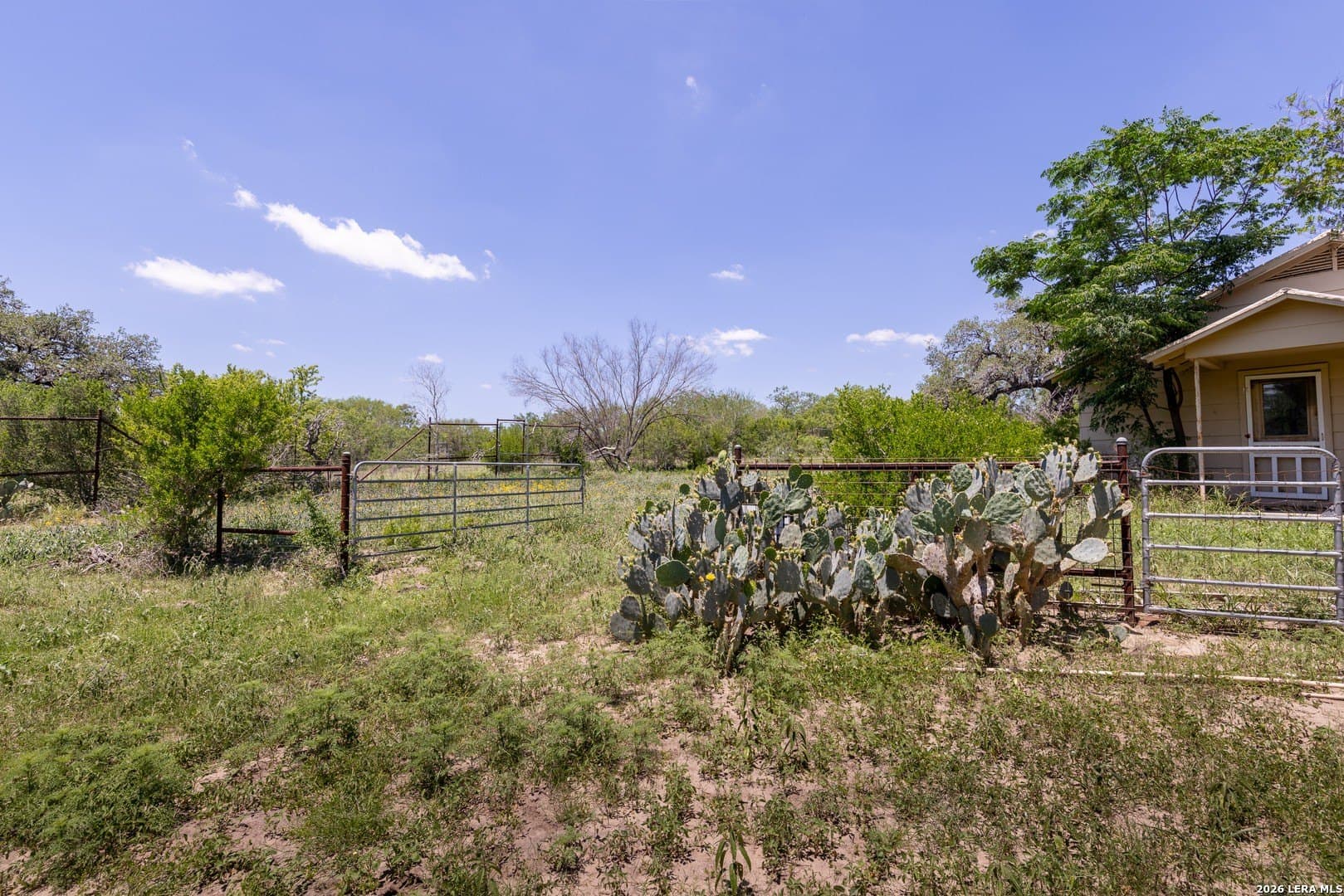 486.95 acres in Live Oak County - photo 15