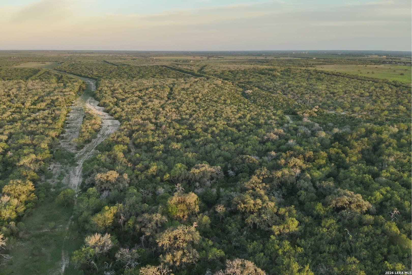 486.95 acres in Live Oak County gallery image 3