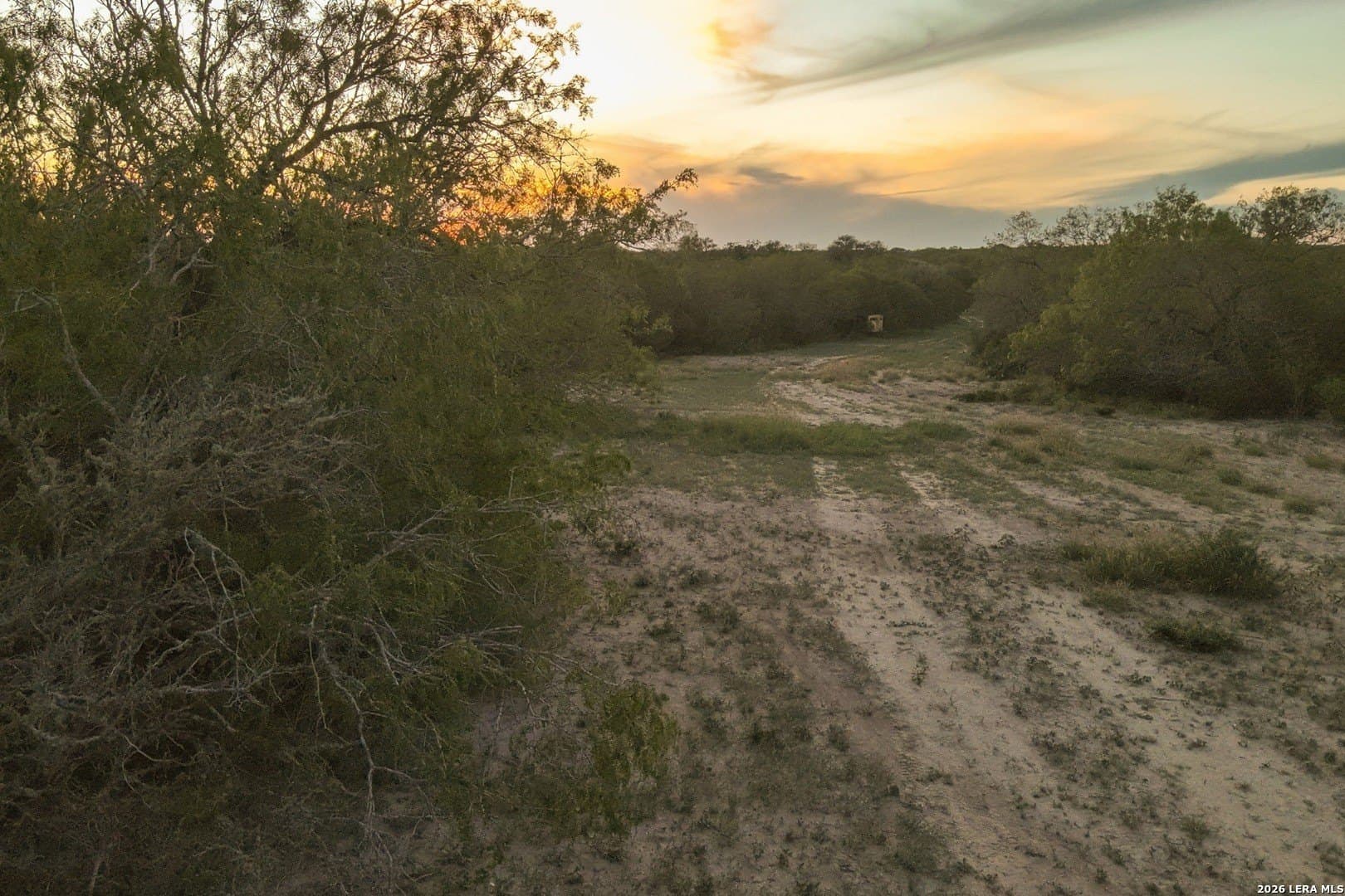 486.95 acres in Live Oak County - photo 11