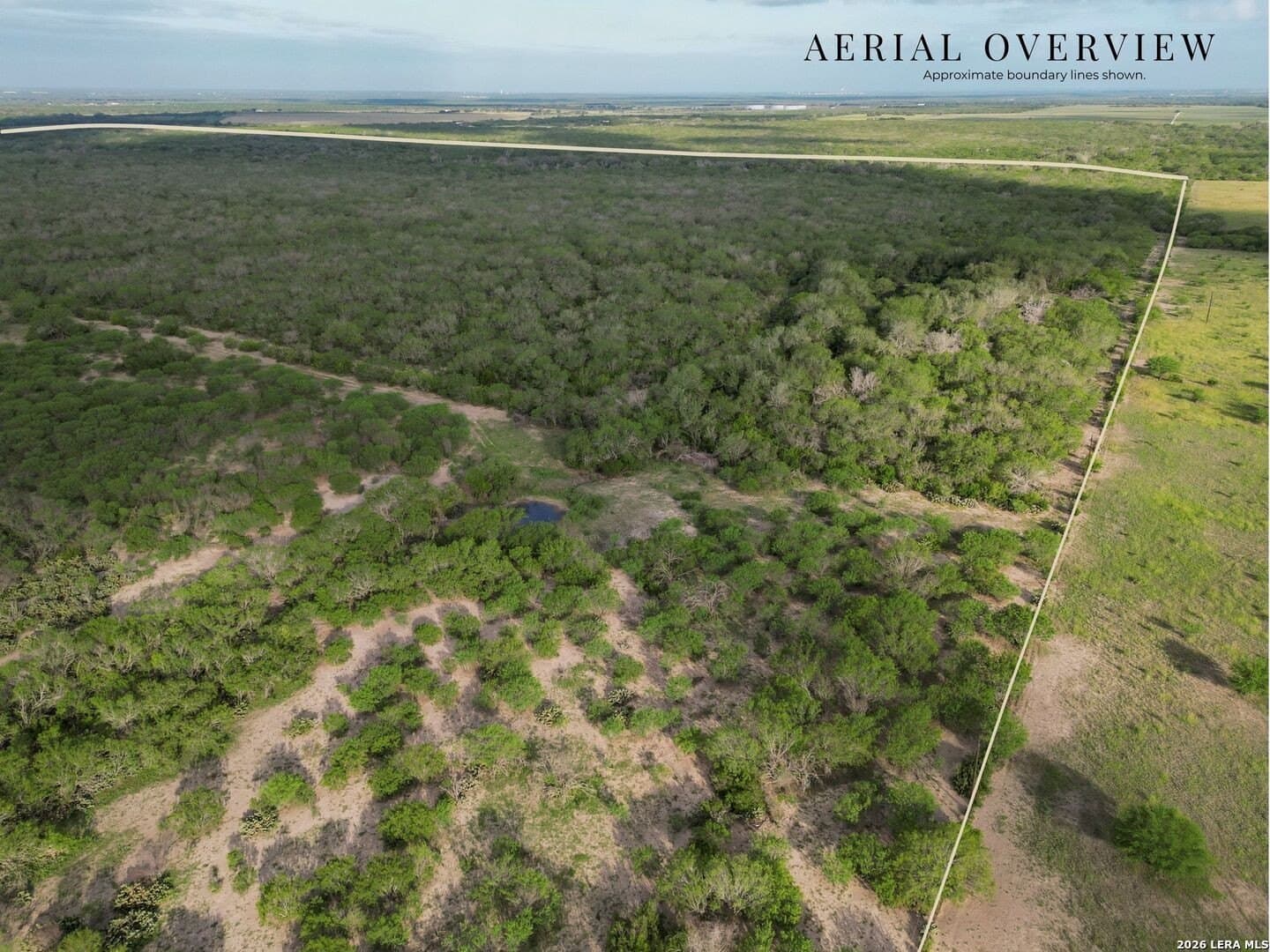 486.95 acres in Live Oak County - photo 29