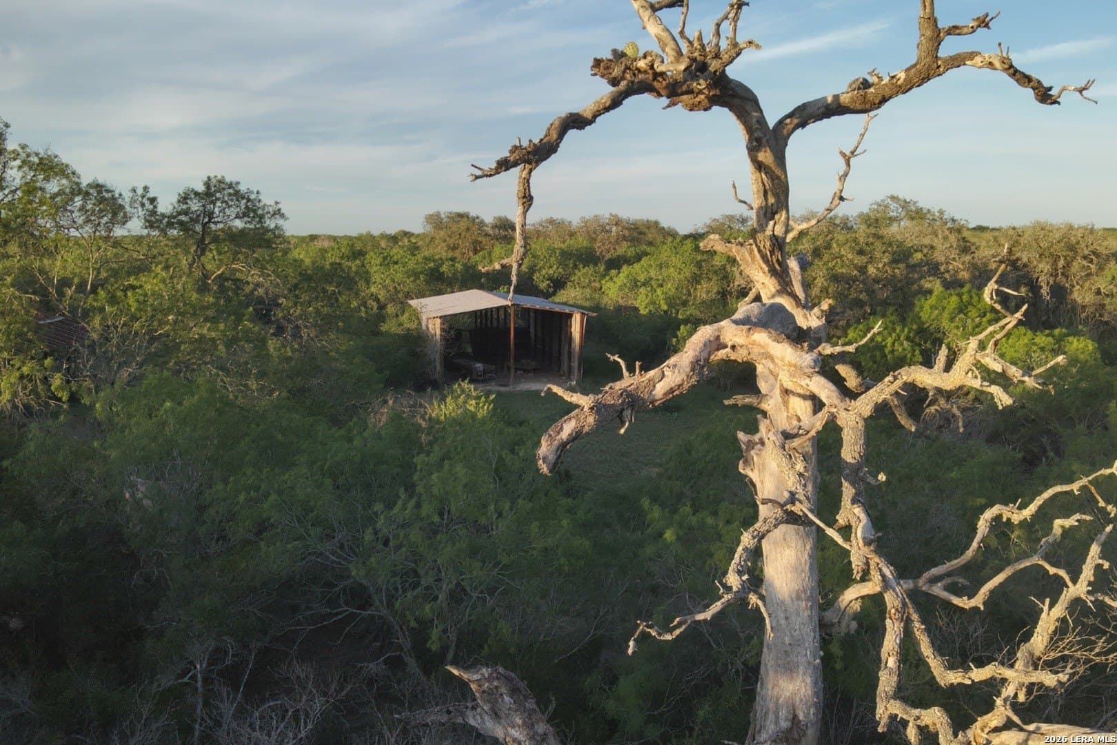 486.95 acres in Live Oak County