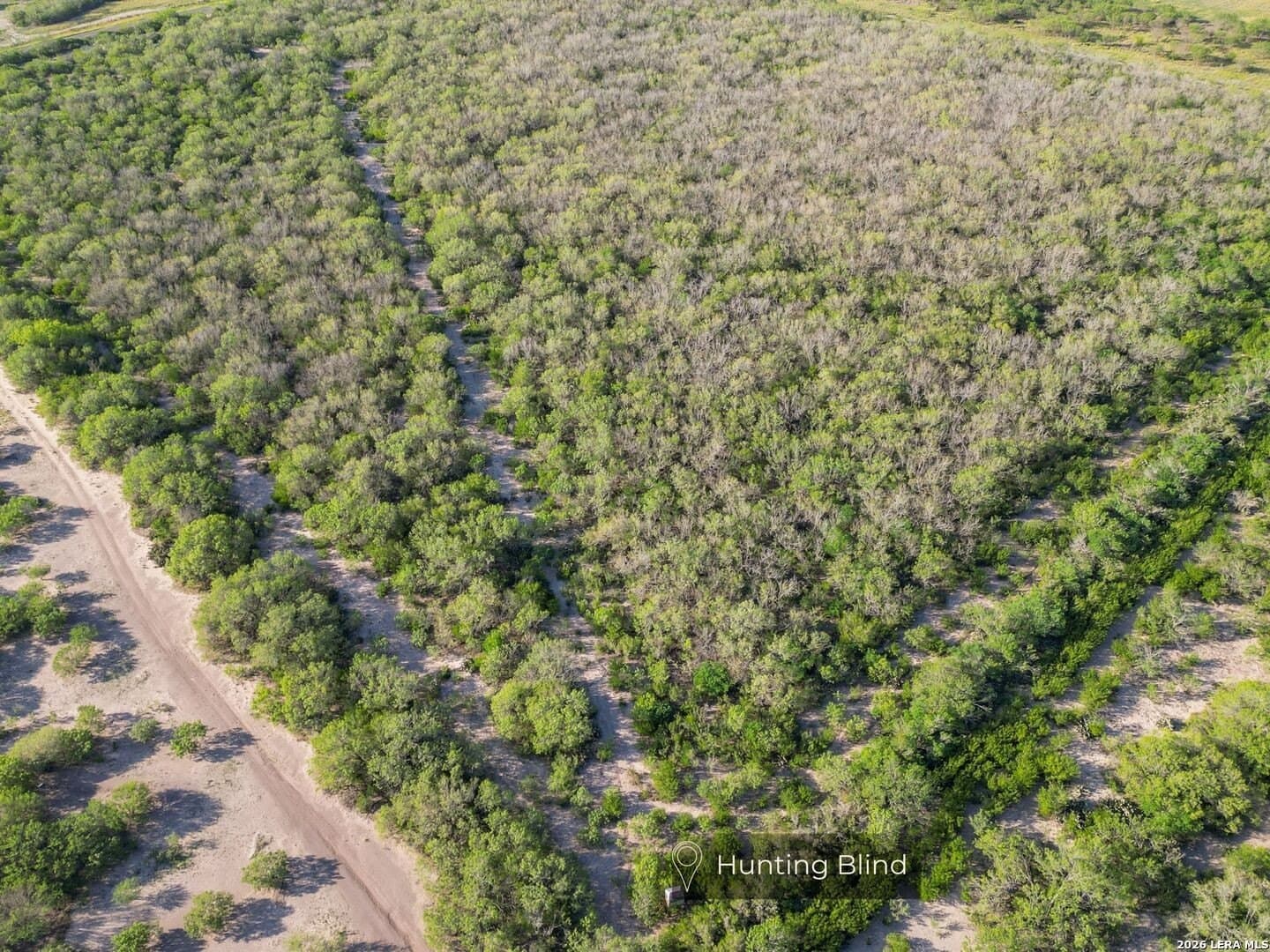 486.95 acres in Live Oak County - photo 27