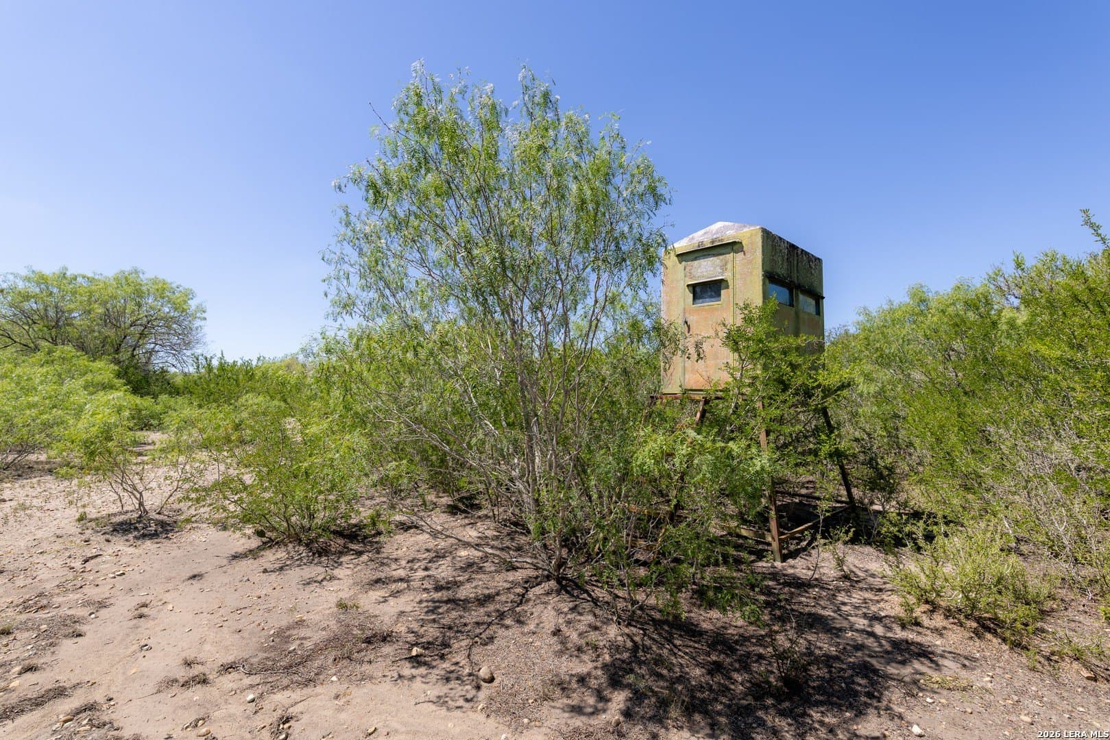 486.95 acres in Live Oak County - photo 26