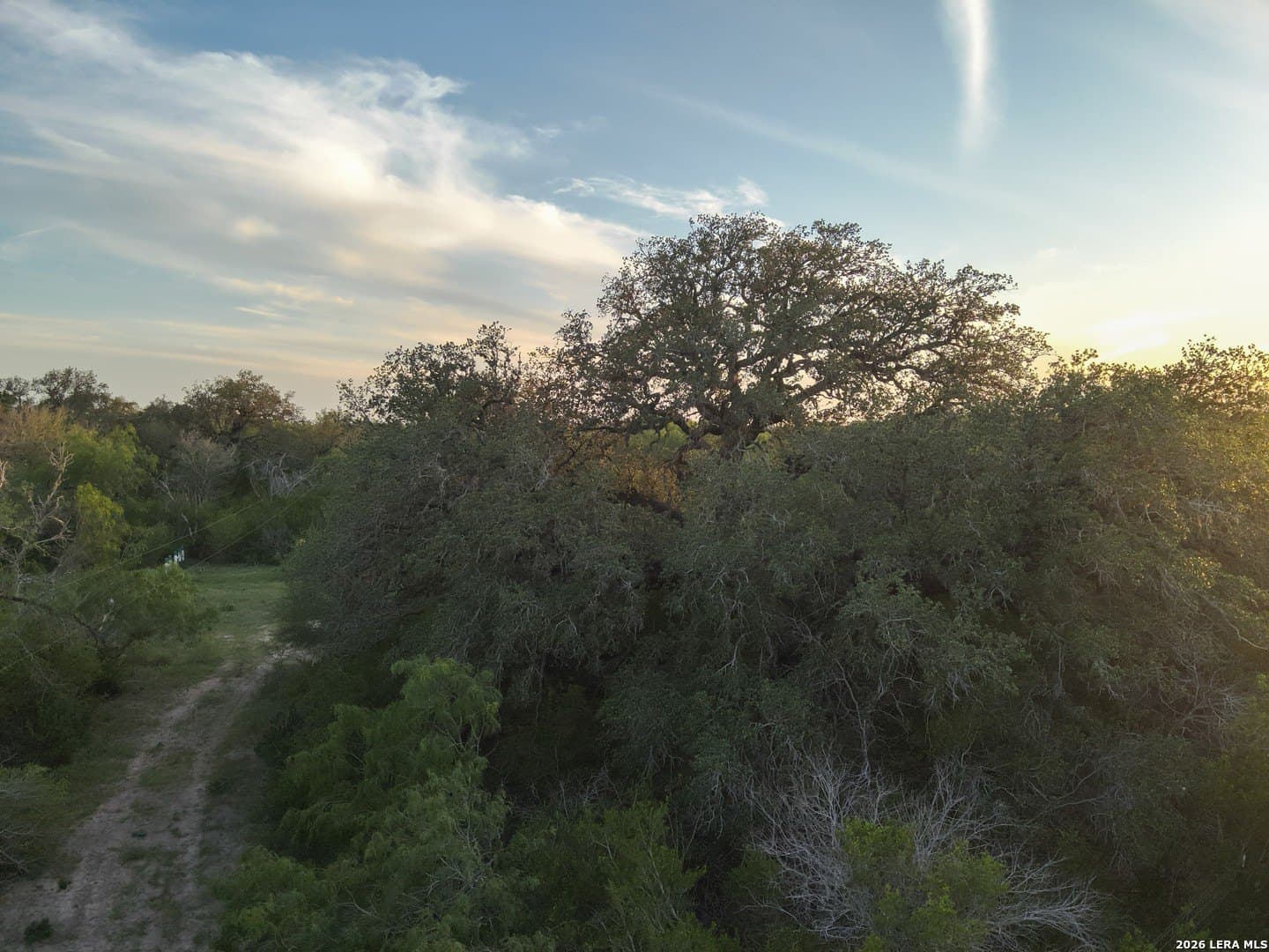 486.95 acres in Live Oak County gallery image 4
