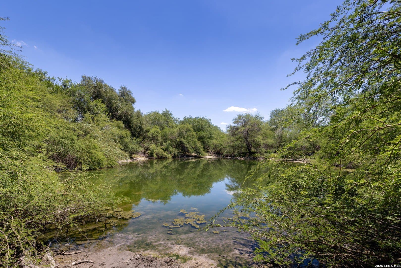 486.95 acres in Live Oak County - photo 13