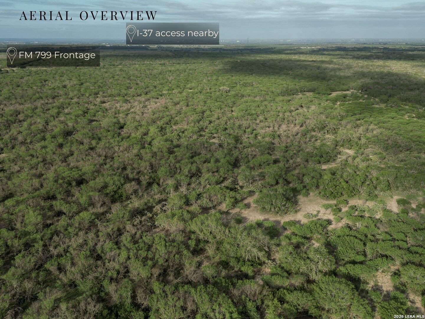 486.95 acres in Live Oak County - photo 8