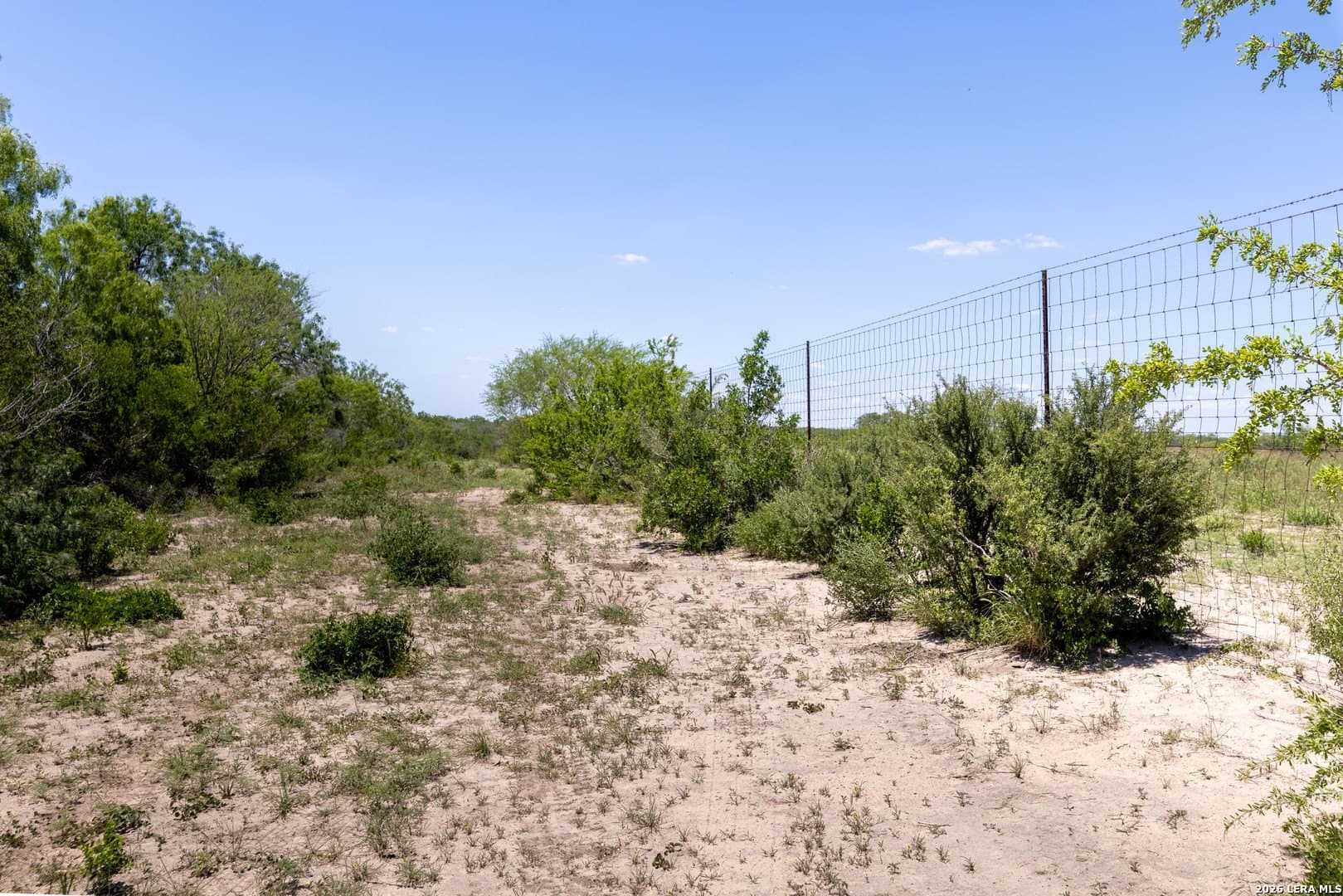 486.95 acres in Live Oak County - photo 28