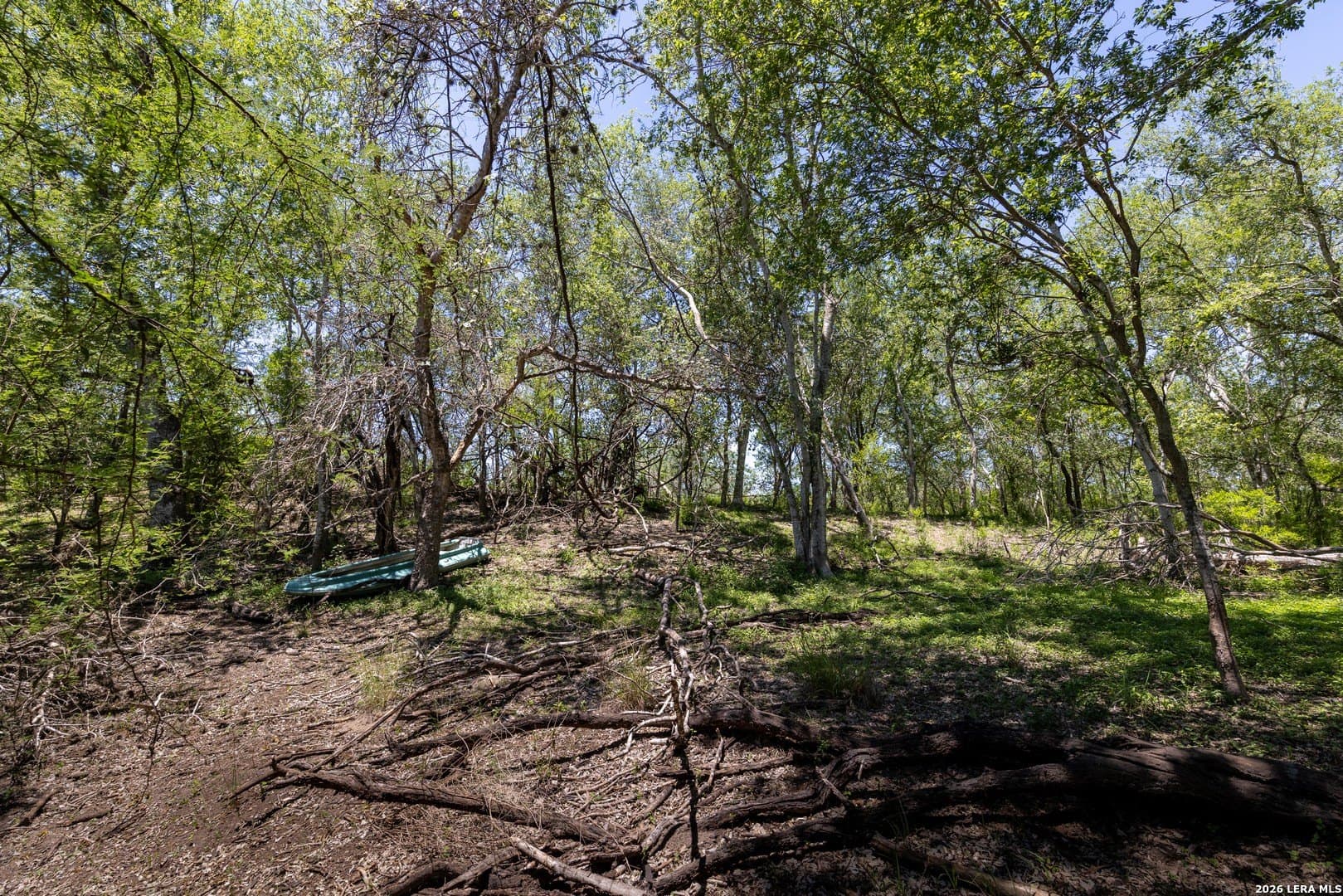 486.95 acres in Live Oak County - photo 14