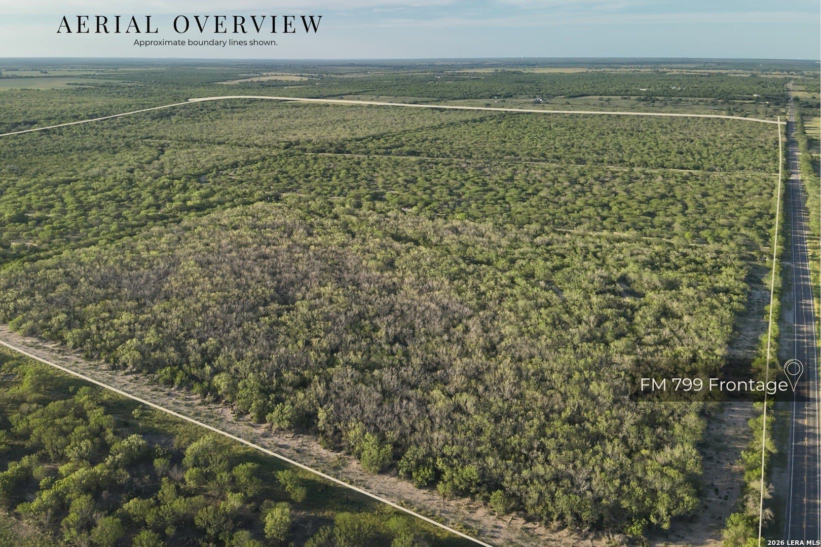 486.95 acres in Live Oak County gallery image 2