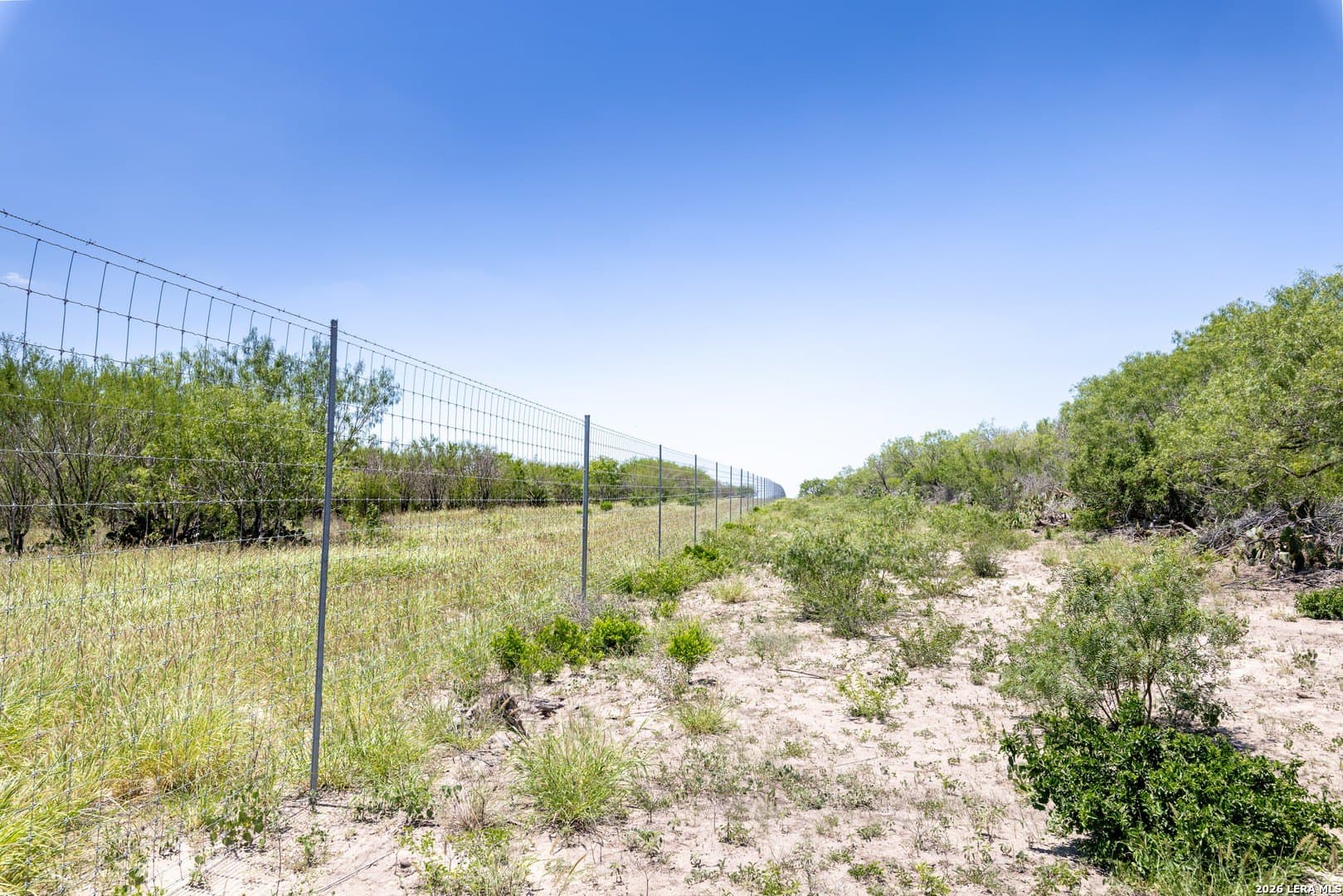 486.95 acres in Live Oak County - photo 25