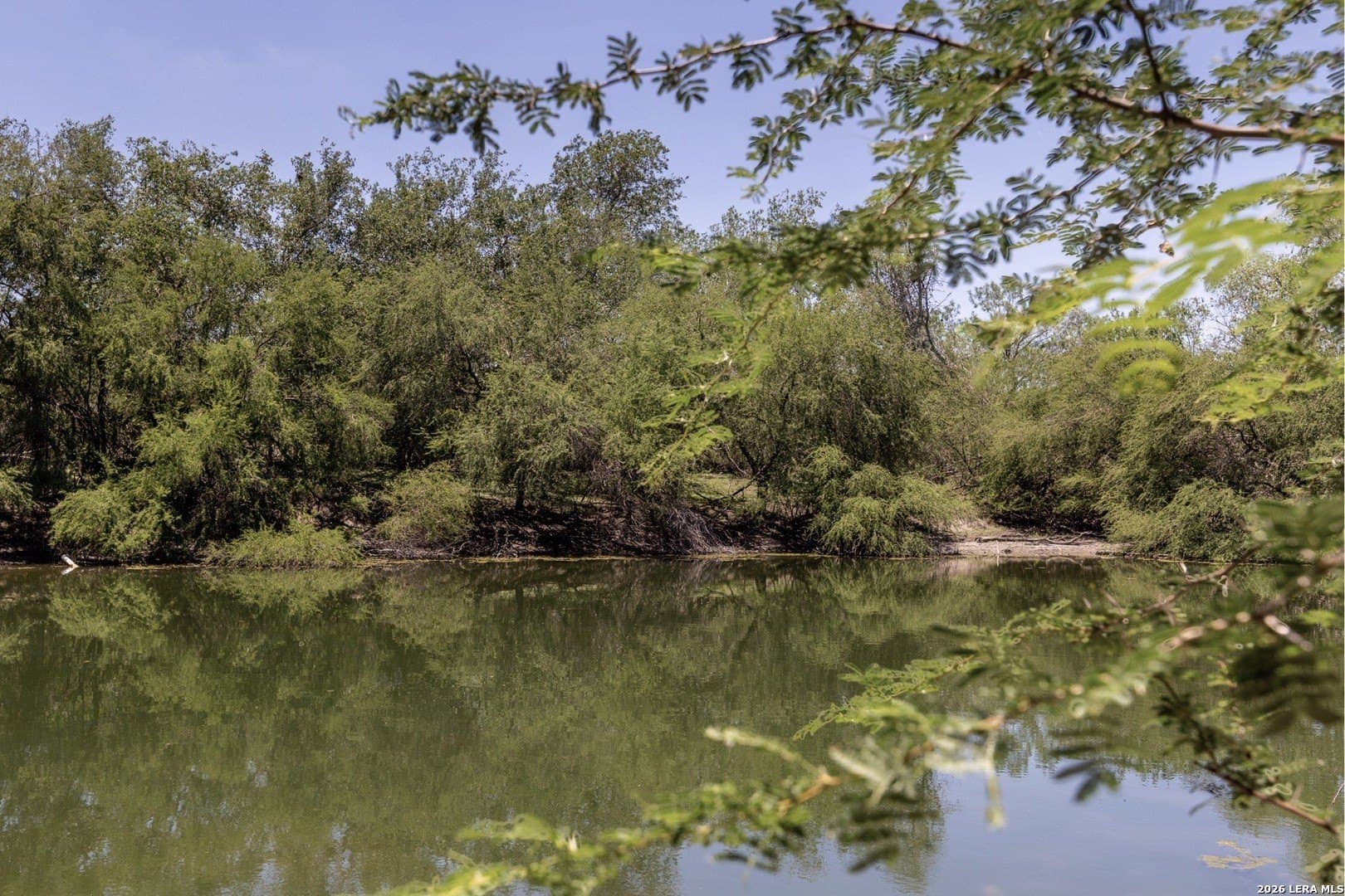 486.95 acres in Live Oak County featured view