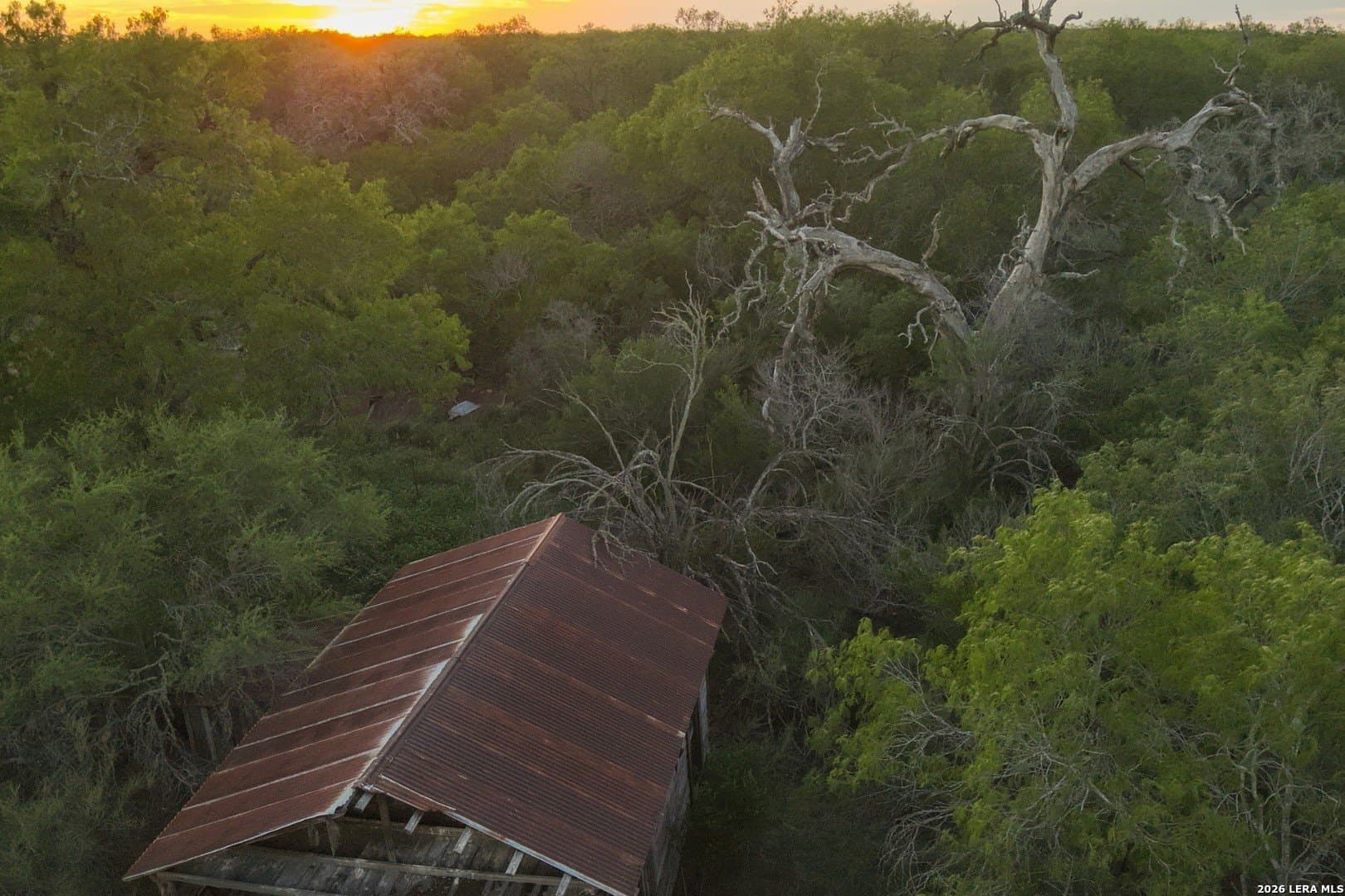 486.95 acres in Live Oak County - photo 9