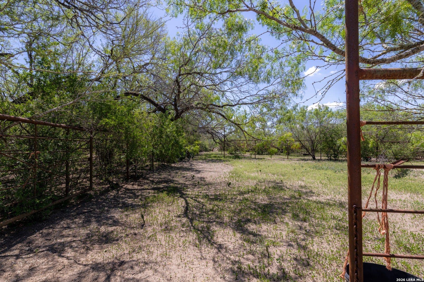 486.95 acres in Live Oak County - photo 21