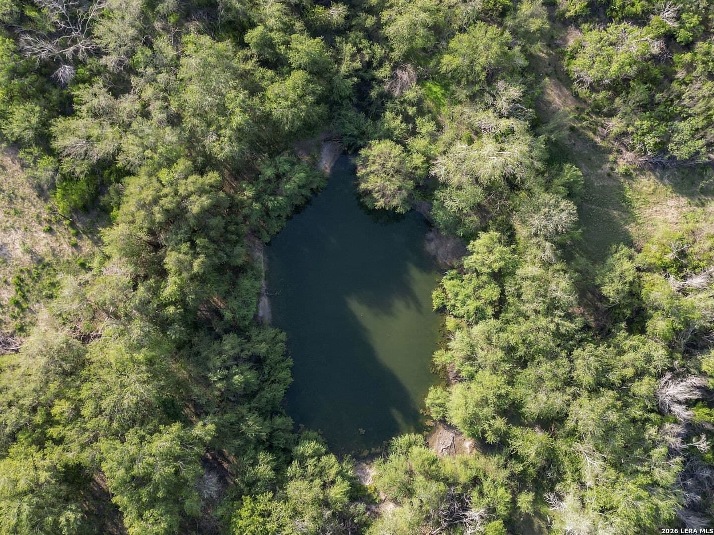 486.95 acres in Live Oak County - photo 6