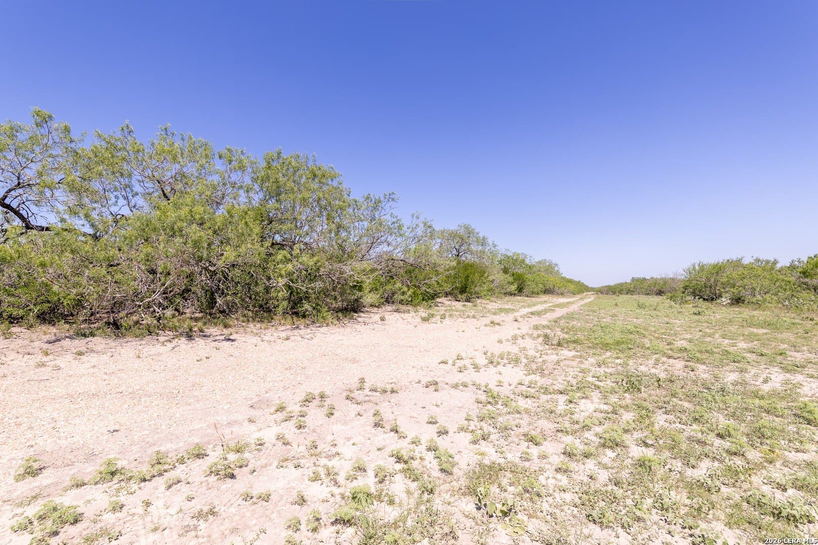 486.95 acres in Live Oak County - photo 24