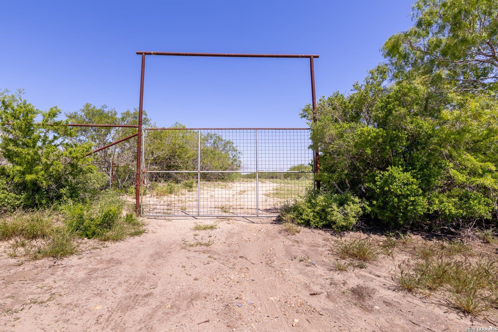 486.95 acres in Live Oak County - photo 23