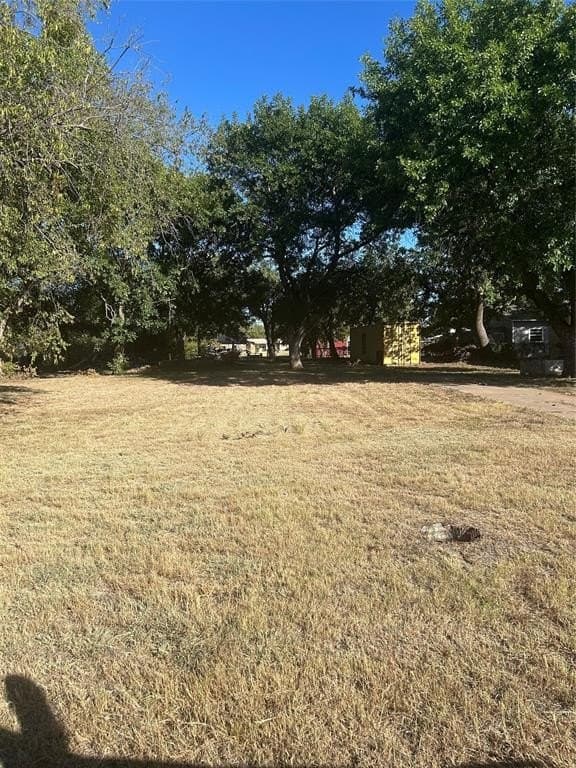 0.38 acres in Young County gallery image 2
