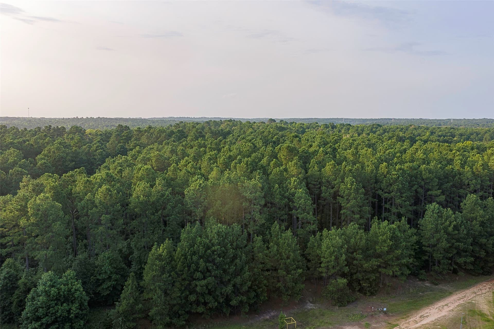 80.96 acres in Rusk County - photo 35