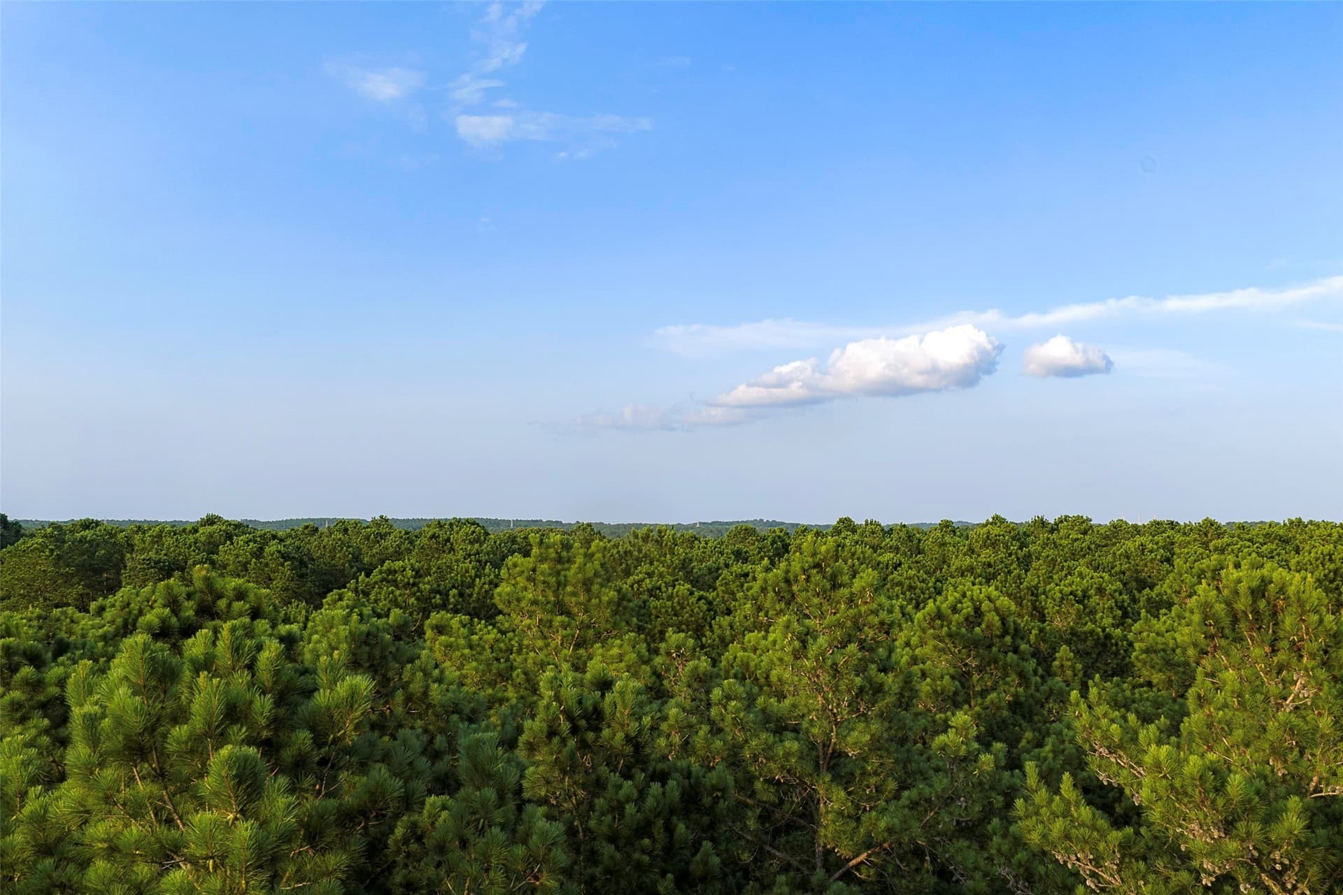 80.96 acres in Rusk County - photo 19
