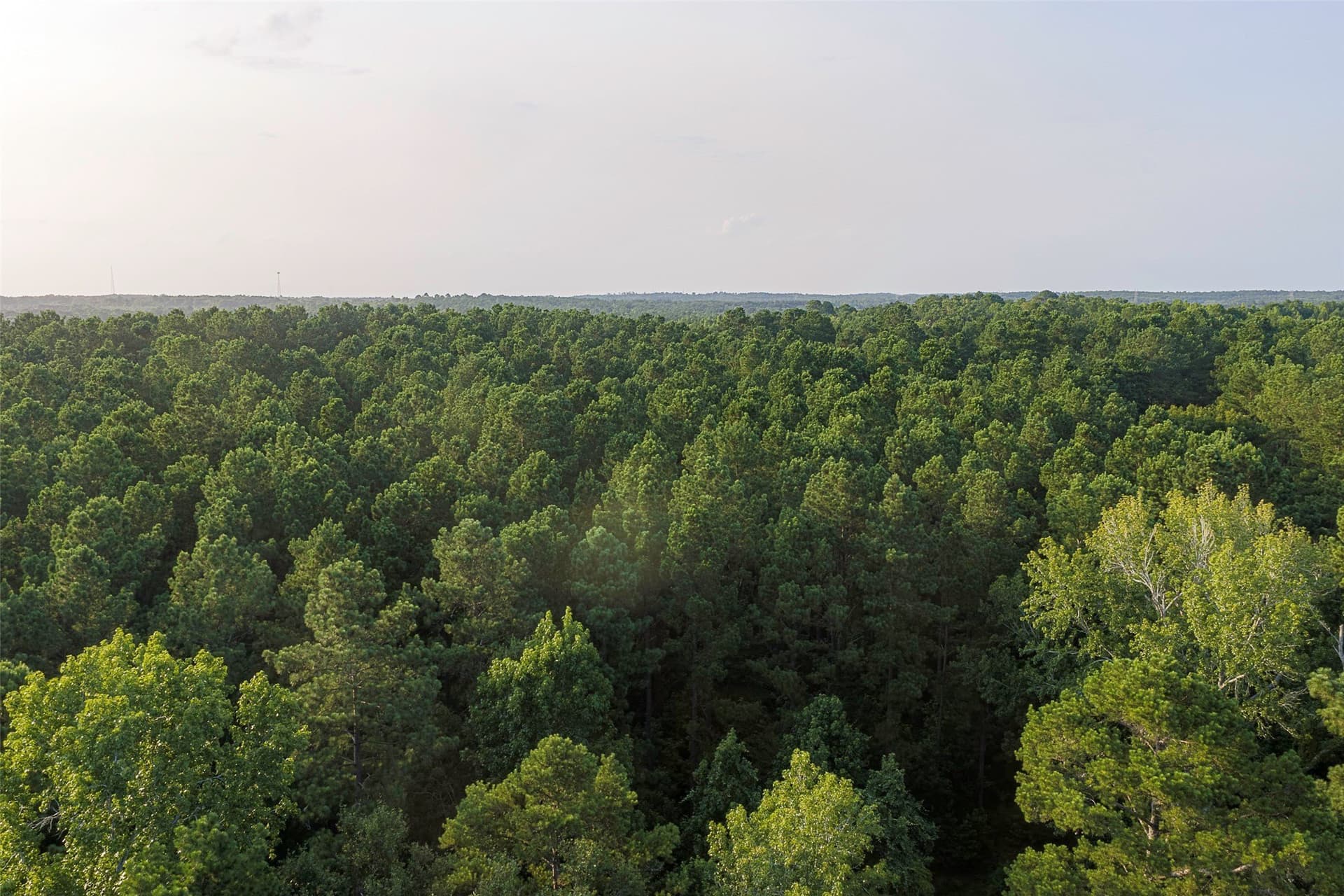 80.96 acres in Rusk County - photo 14