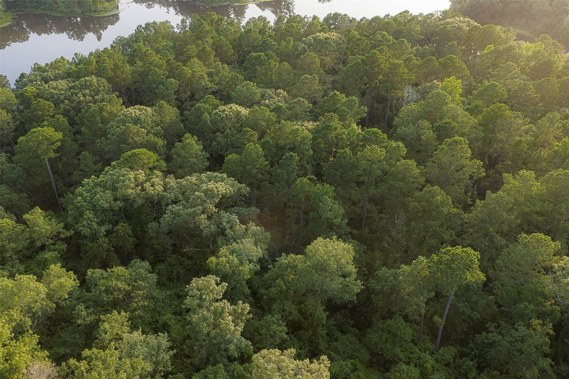 80.96 acres in Rusk County - photo 10