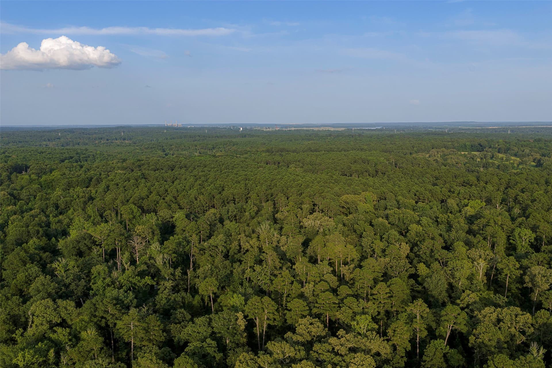 80.96 acres in Rusk County - photo 13