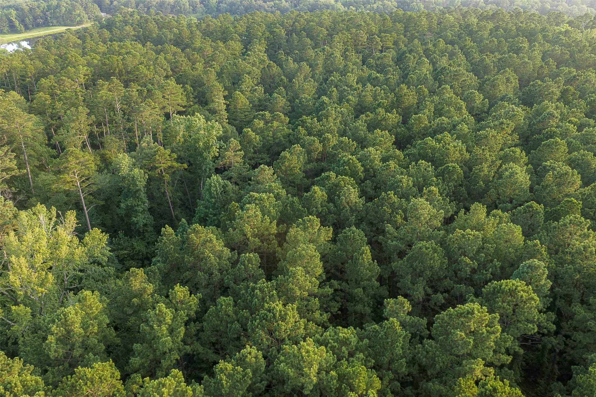 80.96 acres in Rusk County - photo 9