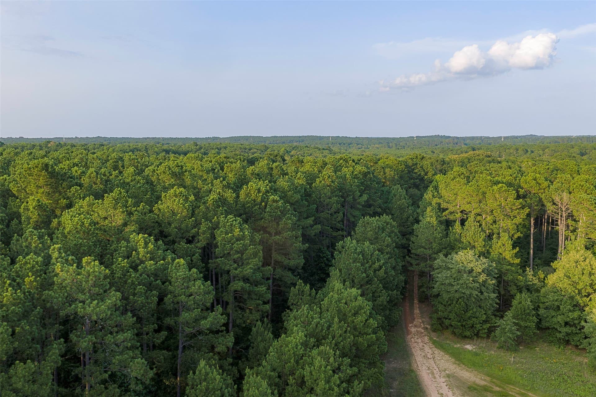 80.96 acres in Rusk County - photo 16
