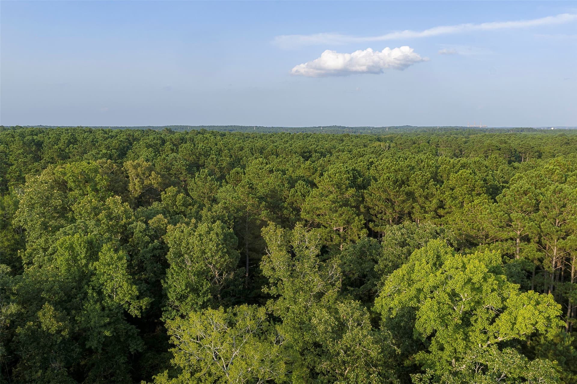80.96 acres in Rusk County - photo 22