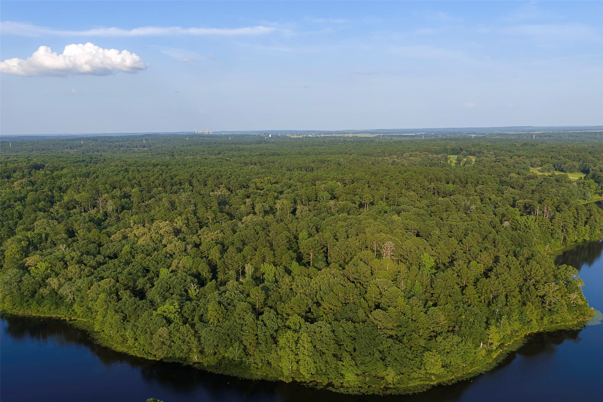 80.96 acres in Rusk County - photo 3