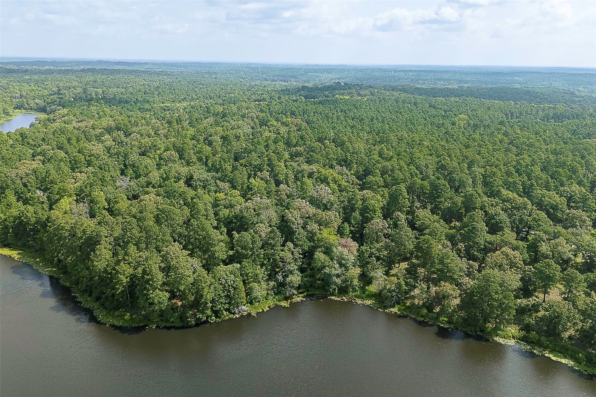 80.96 acres in Rusk County - photo 2