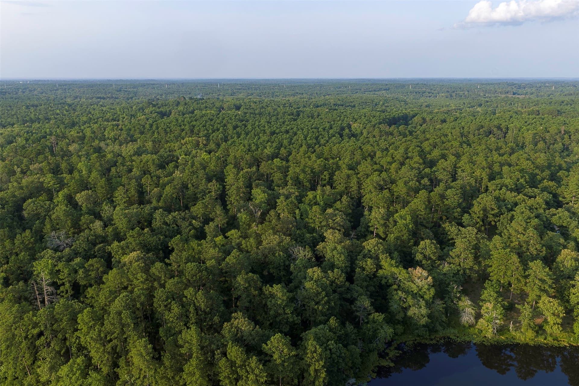80.96 acres in Rusk County