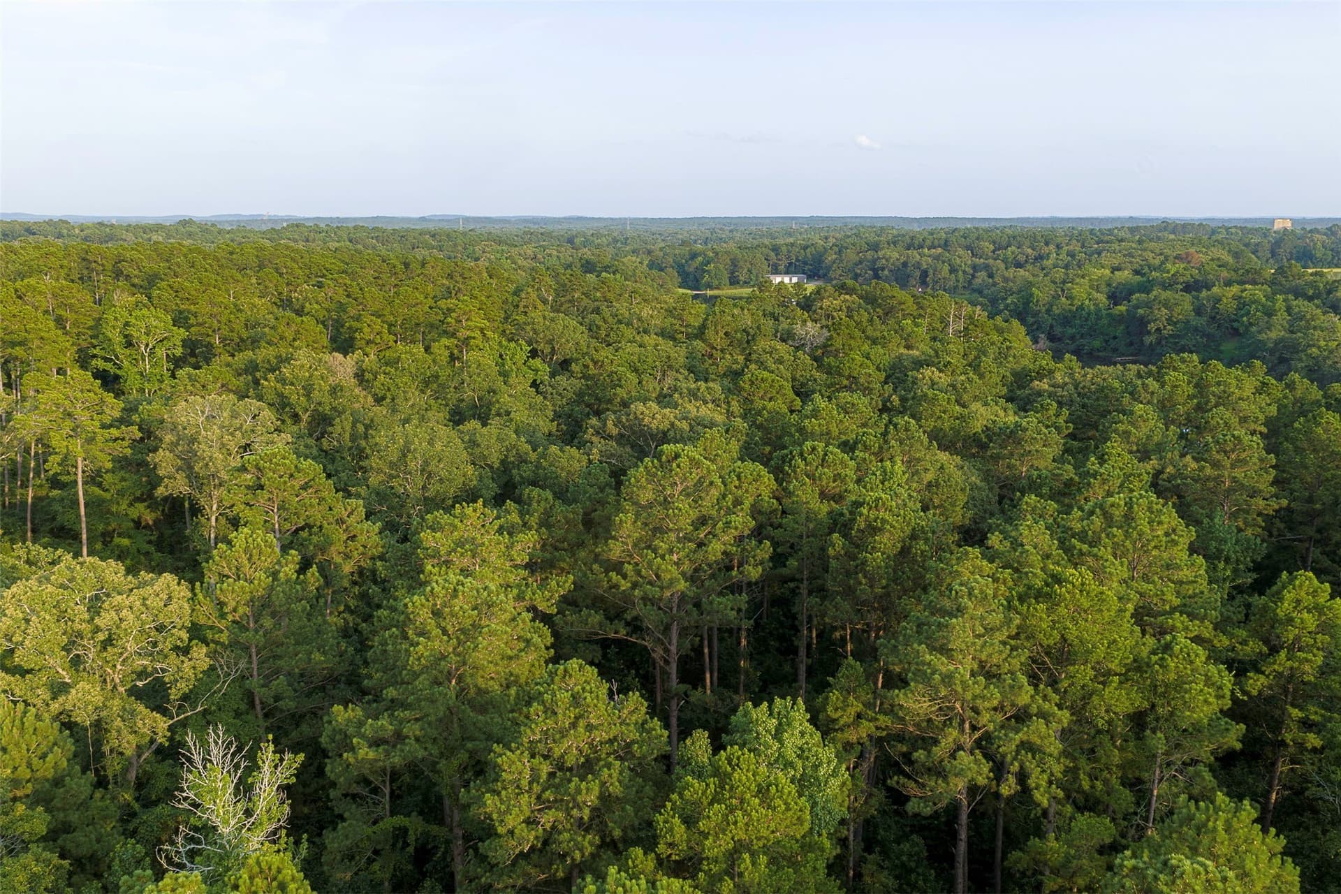 80.96 acres in Rusk County - photo 20
