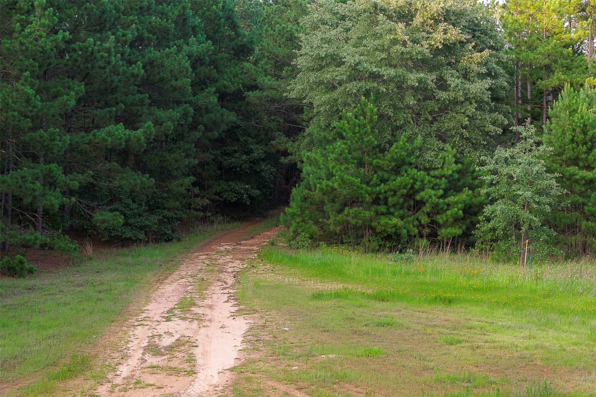 80.96 acres in Rusk County - photo 15