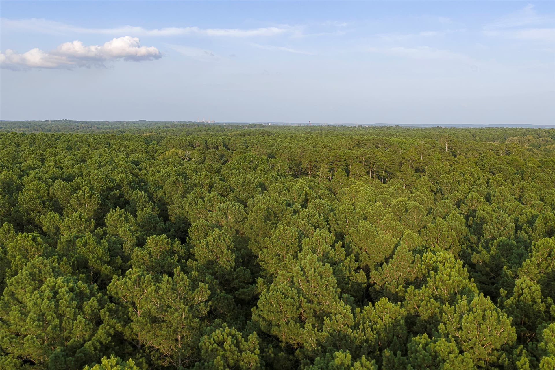 80.96 acres in Rusk County - photo 24