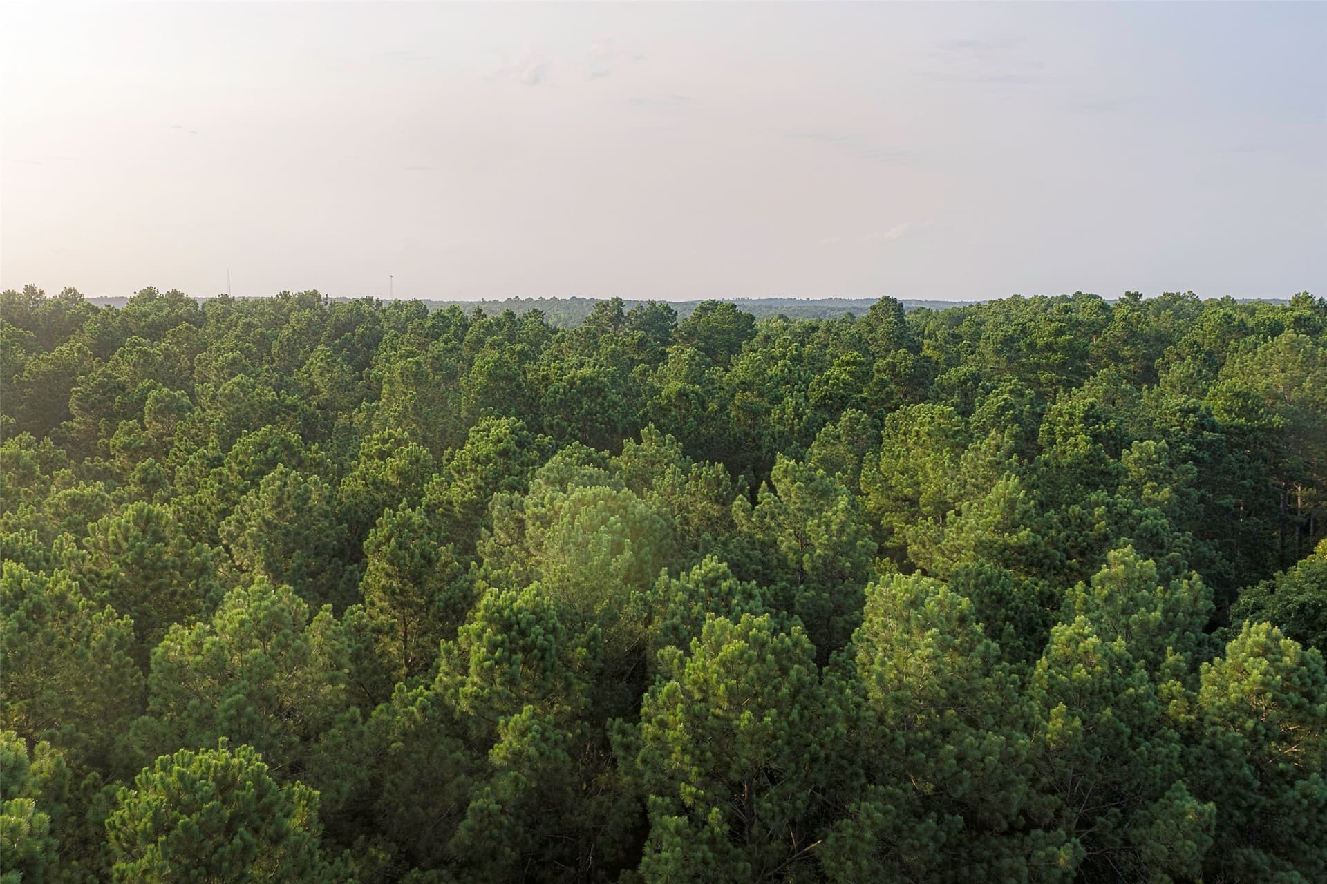 80.96 acres in Rusk County - photo 26