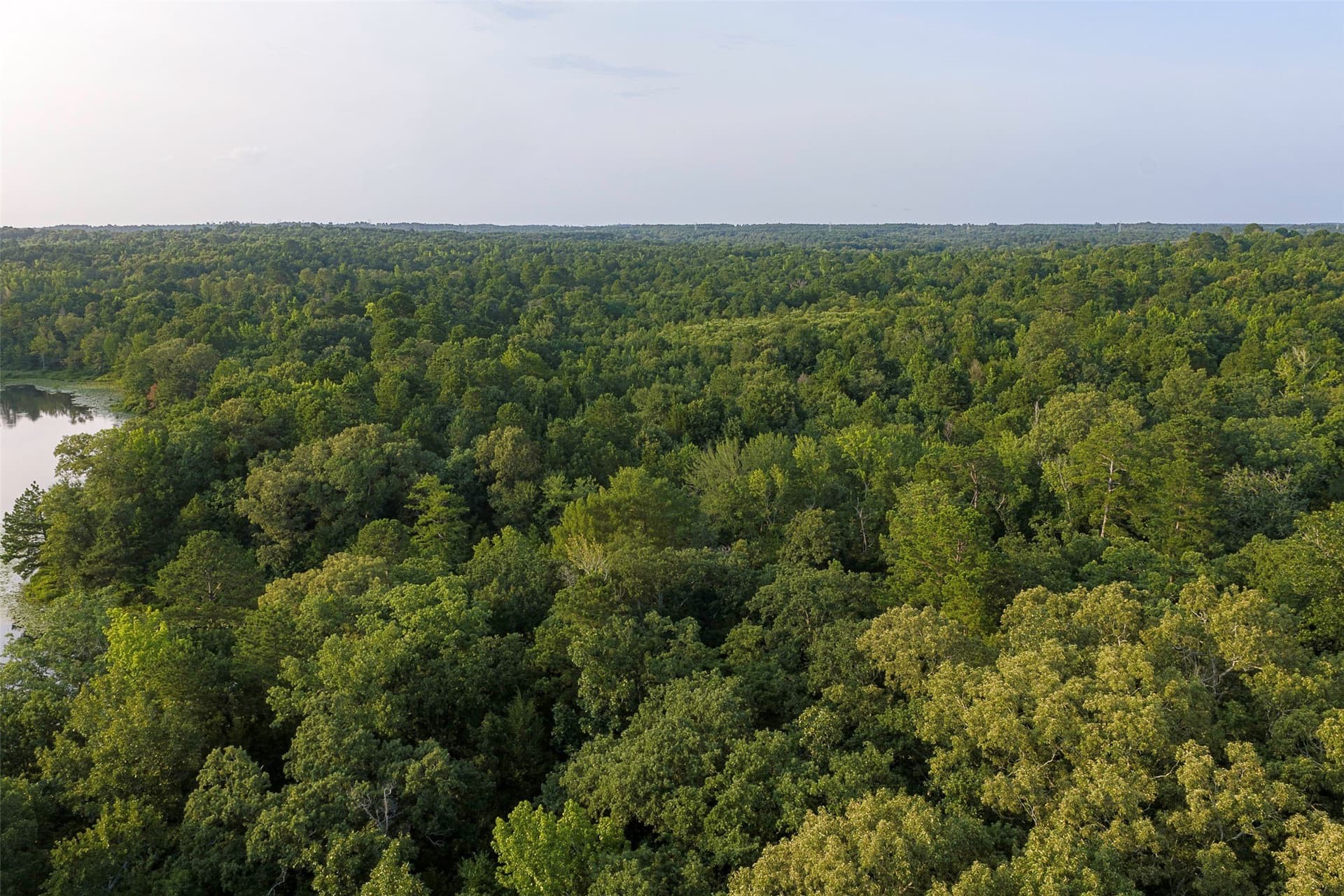 80.96 acres in Rusk County - photo 21