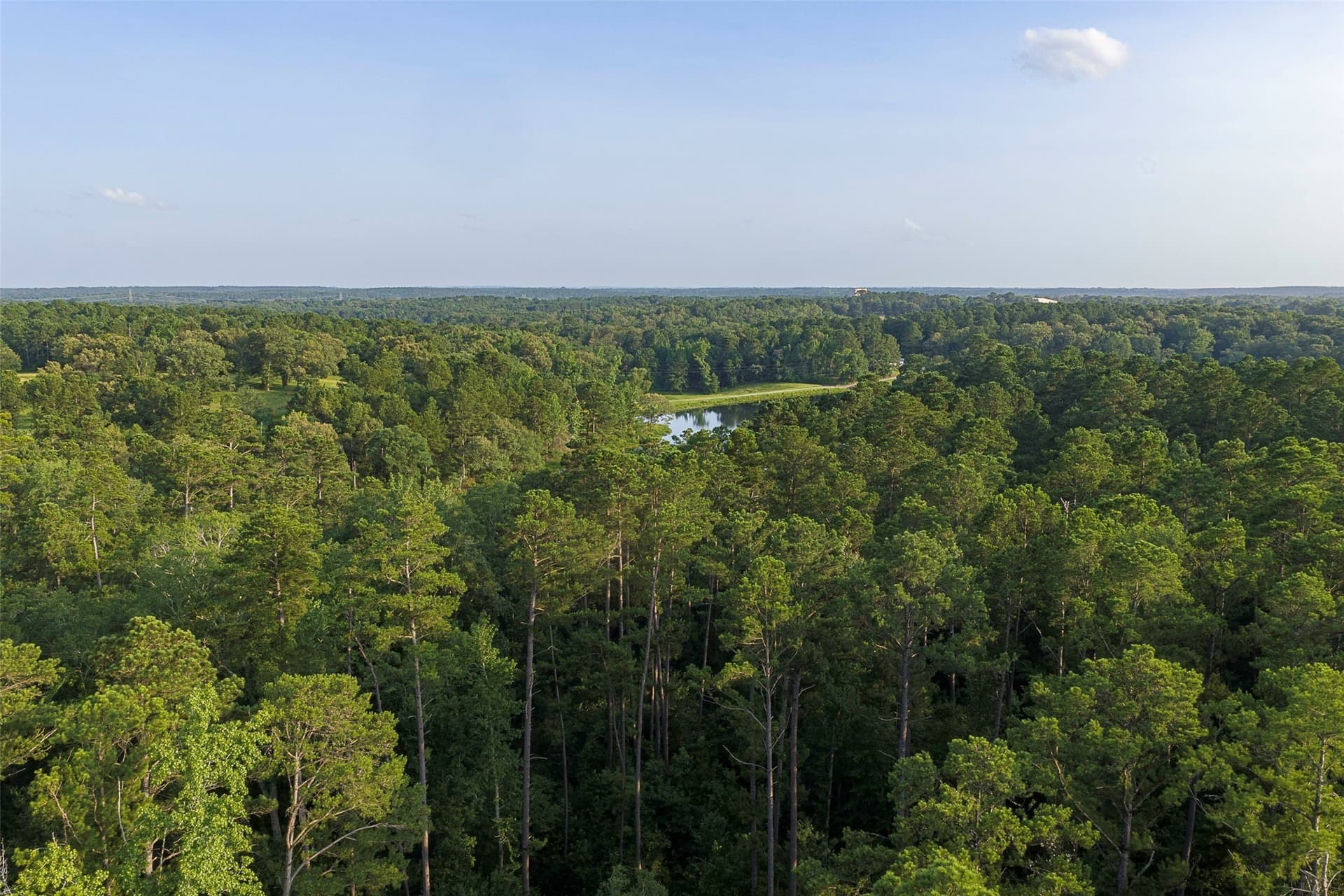 80.96 acres in Rusk County - photo 36