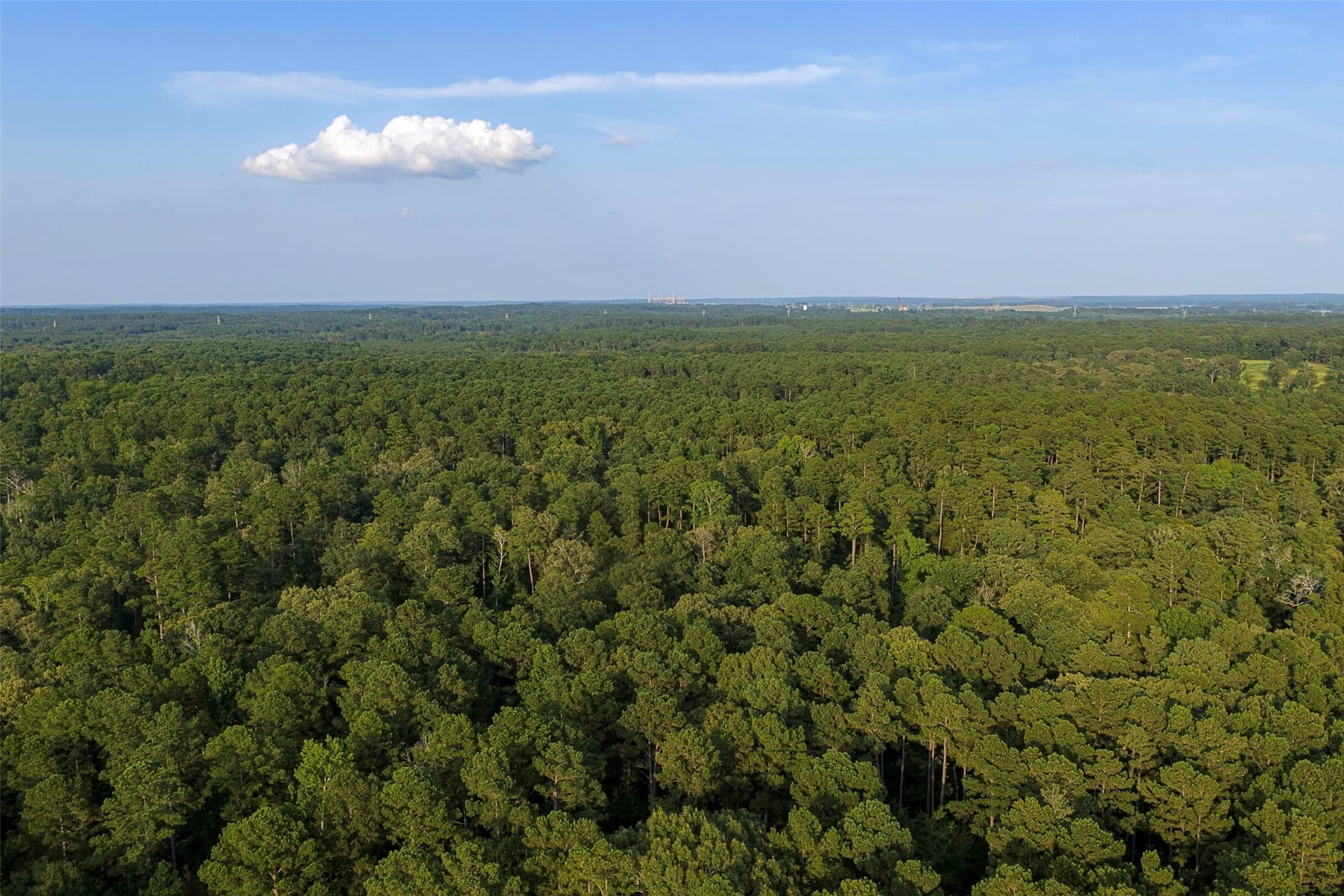80.96 acres in Rusk County - photo 32